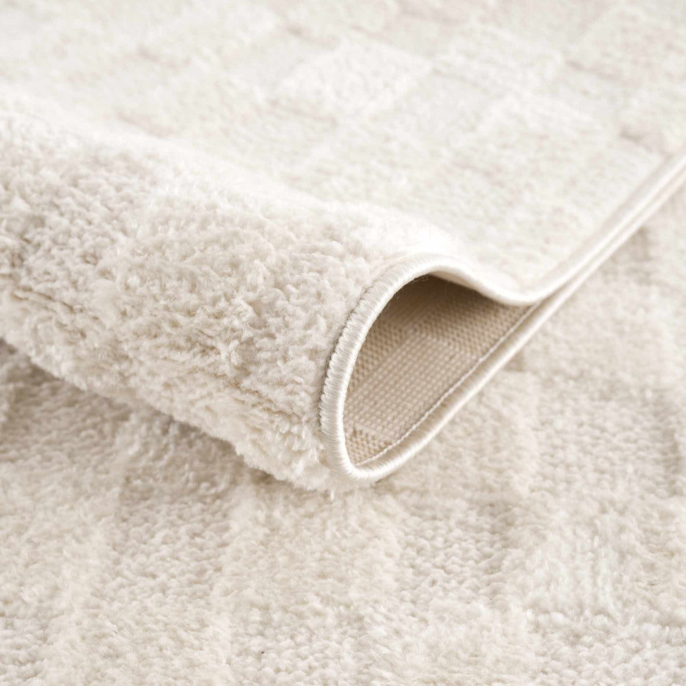Keesa Checkered Area Rug
