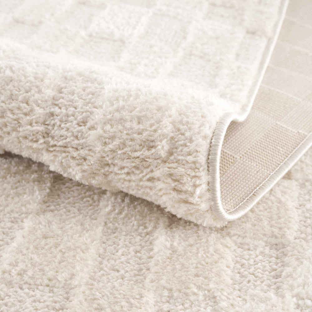 Keesa Checkered Area Rug