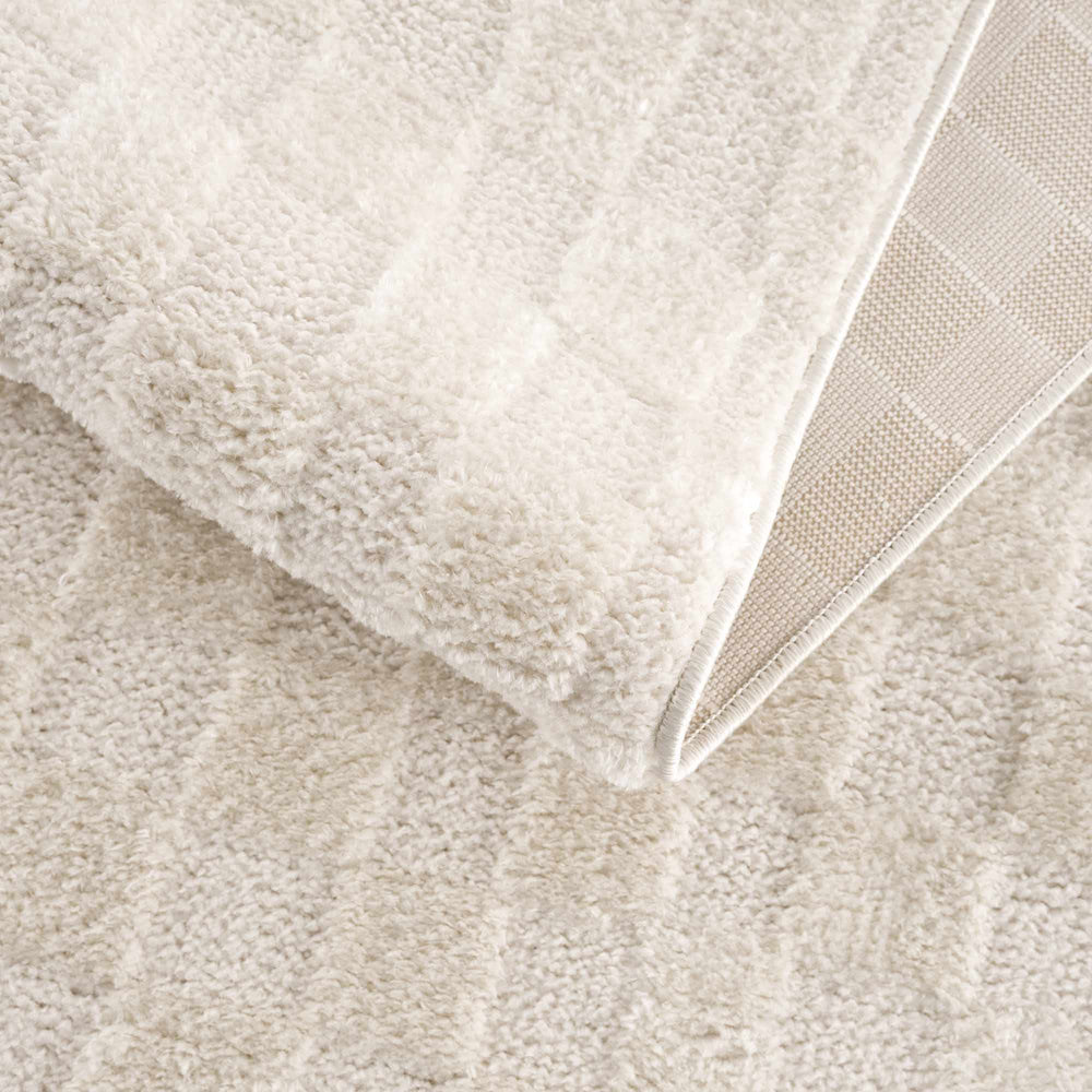 Keesa Checkered Area Rug
