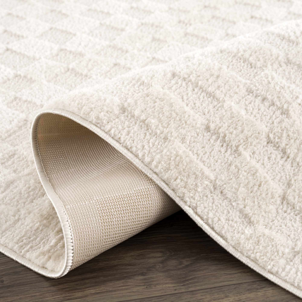 Keesa Checkered Area Rug