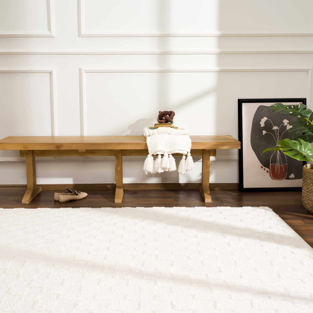 Keesa Checkered Area Rug
