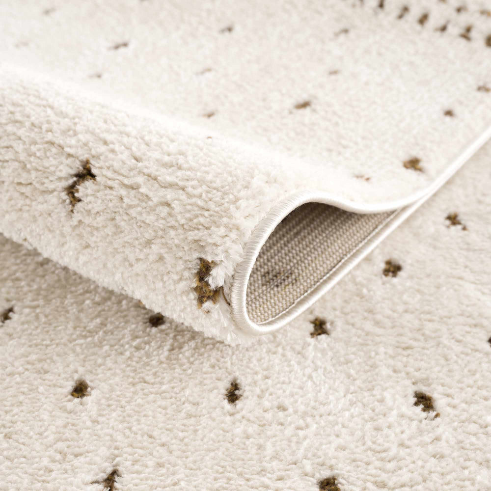 Julie Ivory & Brown Area Rug