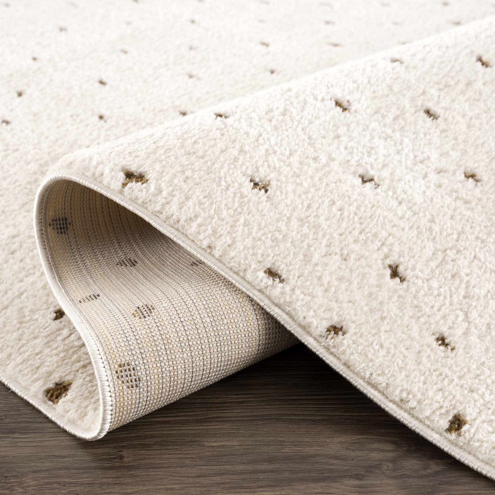 Julie Ivory & Brown Area Rug