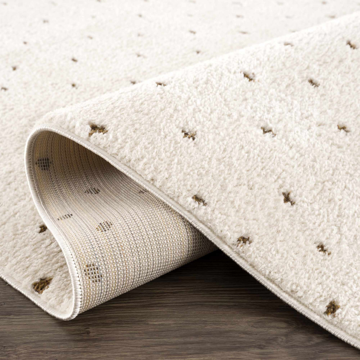 Julie Ivory & Brown Area Rug