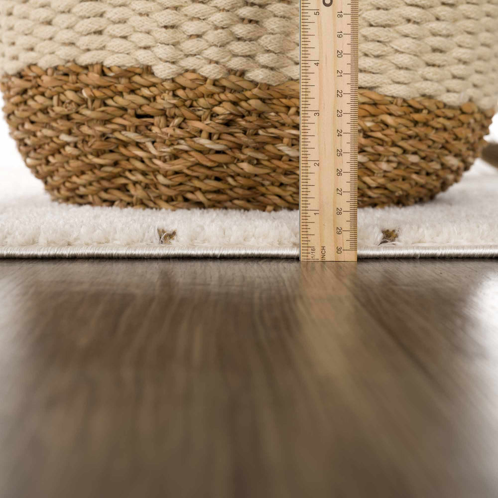 Julie Ivory & Brown Area Rug