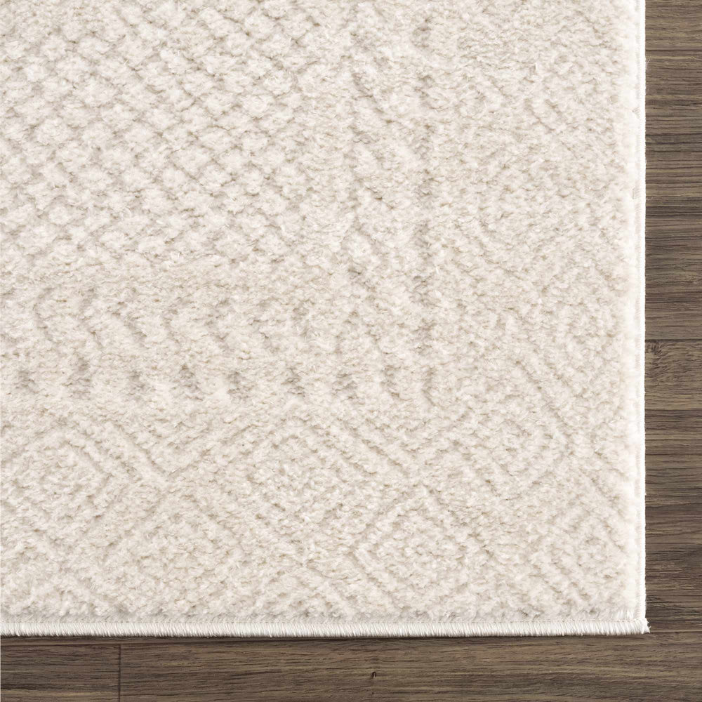 Julio Ivory Area Rug