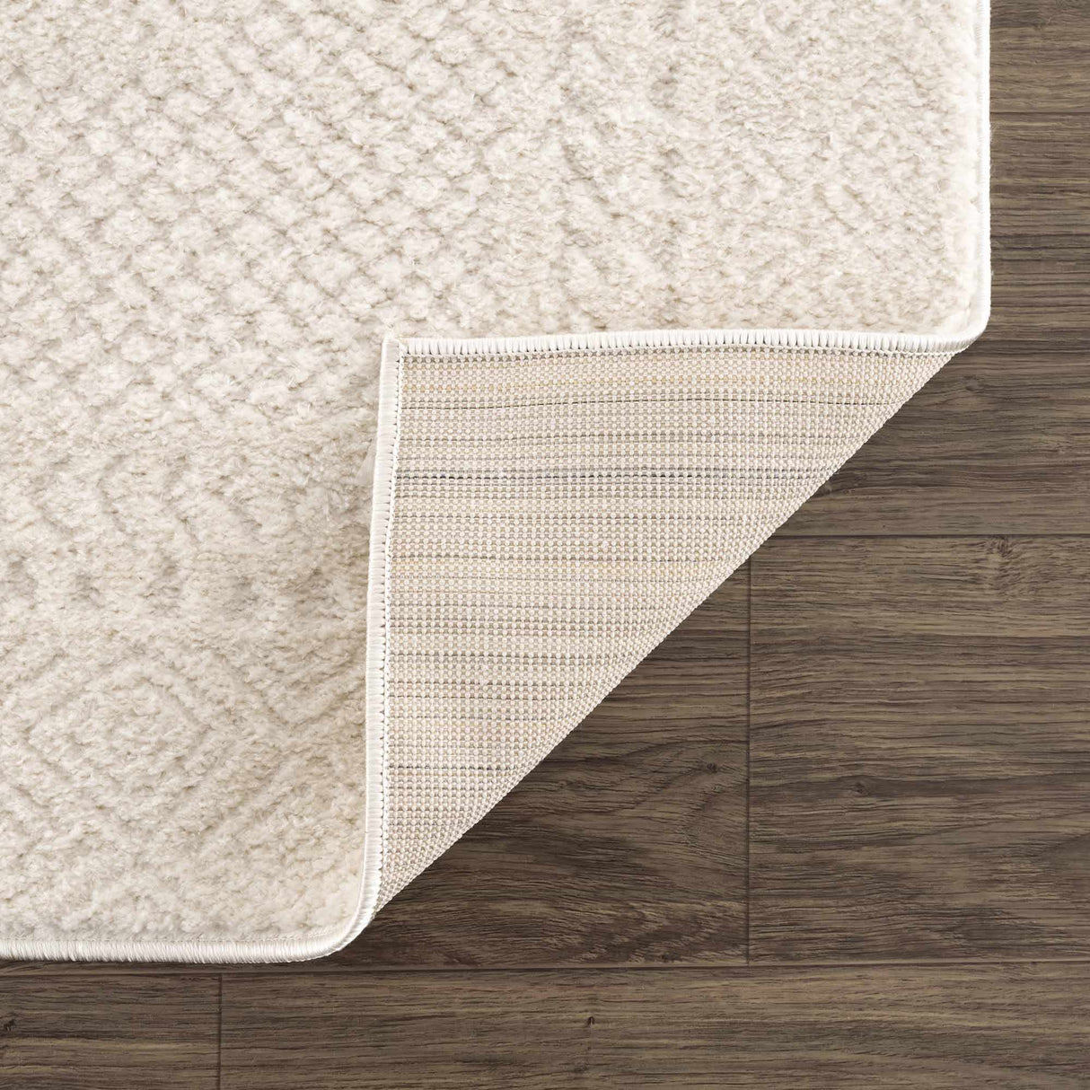Julio Ivory Area Rug
