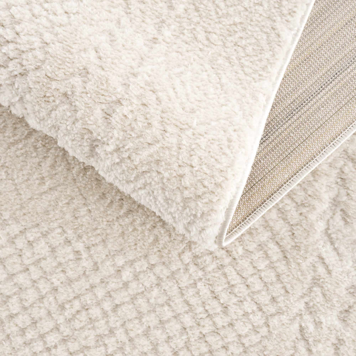 Julio Ivory Area Rug