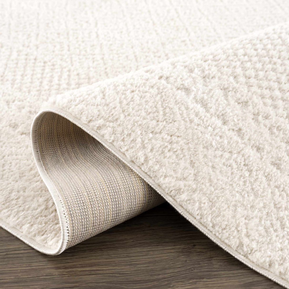 Julio Ivory Area Rug