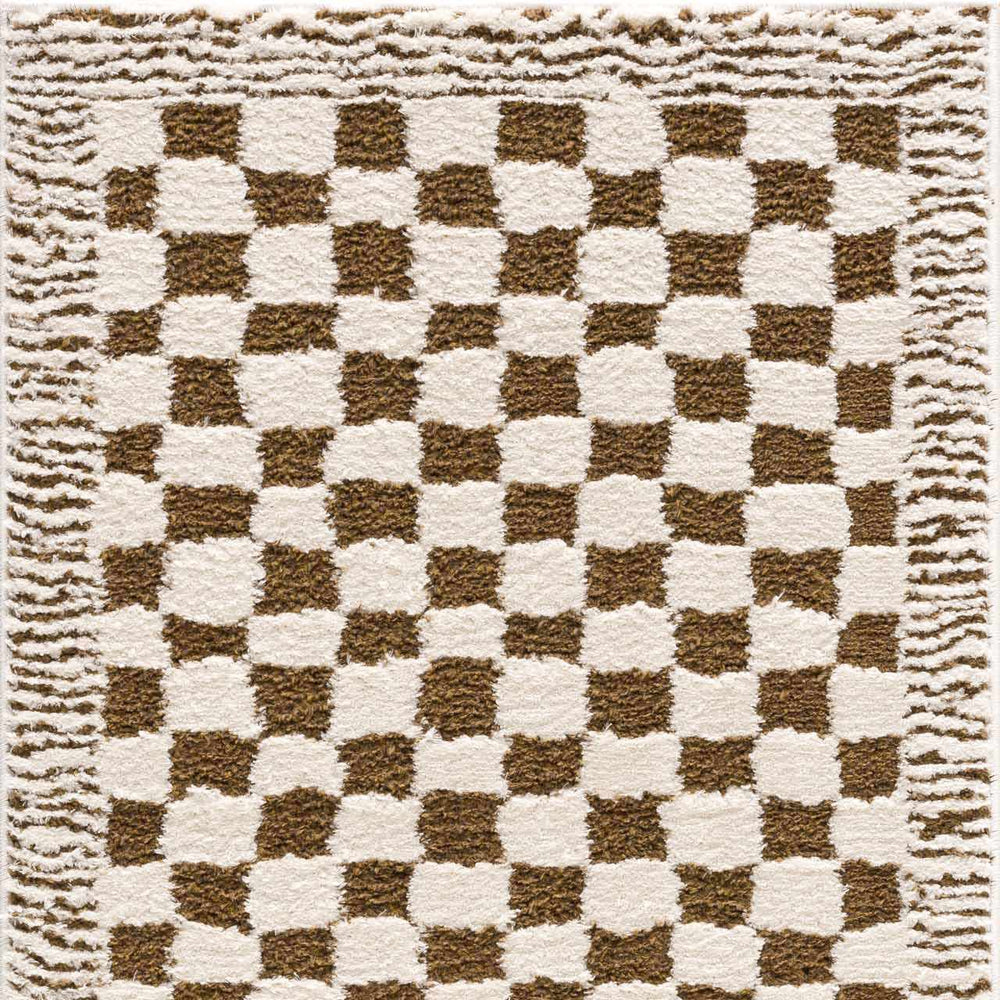 Leryn Brown Checkered Plush Rug