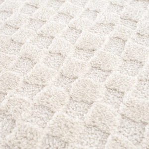 Leryn Ivory Checkered Area Rug