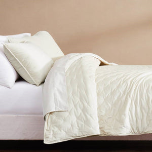 King/CAL King Size 3-Piece Cream Velvet Embroidered Super Soft Quilt Set