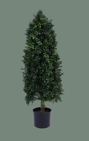 Cone Shape Boxwood Topiary 36"H