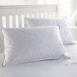2 Pack Beauty Sleep Cotton Feather & Down Pillows - Bed Bath Fashions
