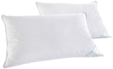 2 Pack Beauty Sleep Cotton Feather & Down Pillows - Bed Bath Fashions