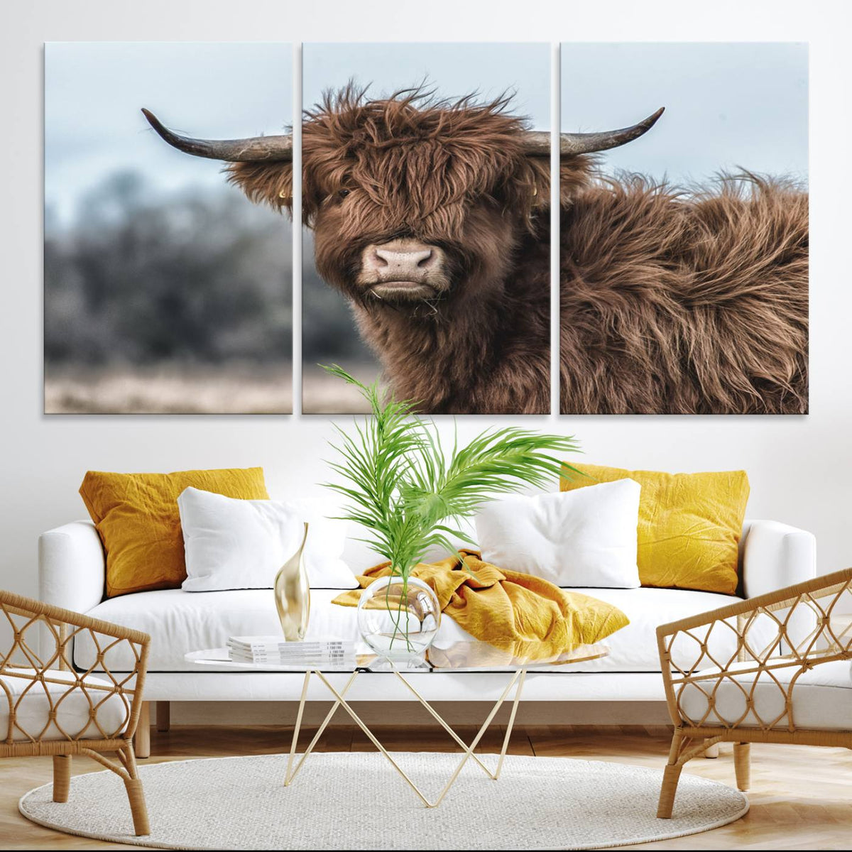 Fluffy Highland Cow Photograph Wall Art Canvas, Black And