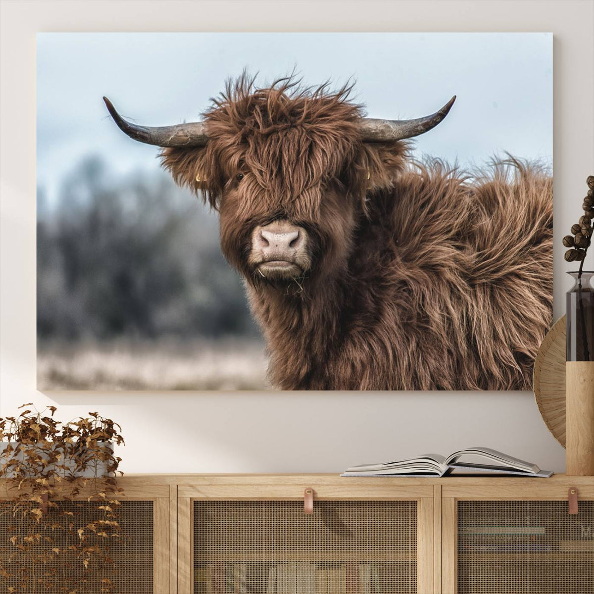 Fluffy Highland Cow Photograph Wall Art Canvas, Black And