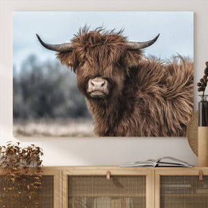 Fluffy Highland Cow Photograph Wall Art Canvas, Black And