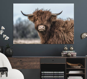 Fluffy Highland Cow Photograph Wall Art Canvas, Black And