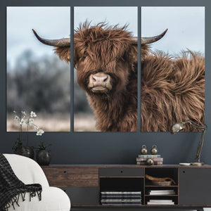 Fluffy Highland Cow Photograph Wall Art Canvas, Black And