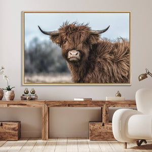 Fluffy Highland Cow Photograph Wall Art Canvas, Black And
