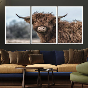 Fluffy Highland Cow Photograph Wall Art Canvas, Black And