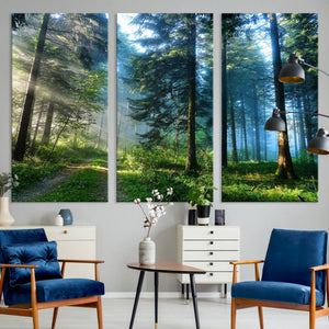 Forest Sun Shine Wall Art Canvas Print