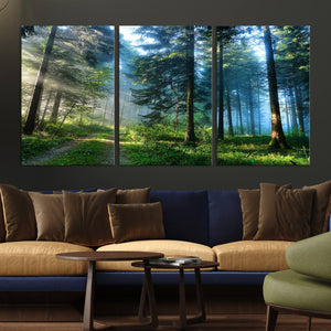 Forest Sun Shine Wall Art Canvas Print