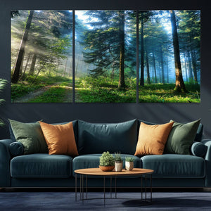 Forest Sun Shine Wall Art Canvas Print