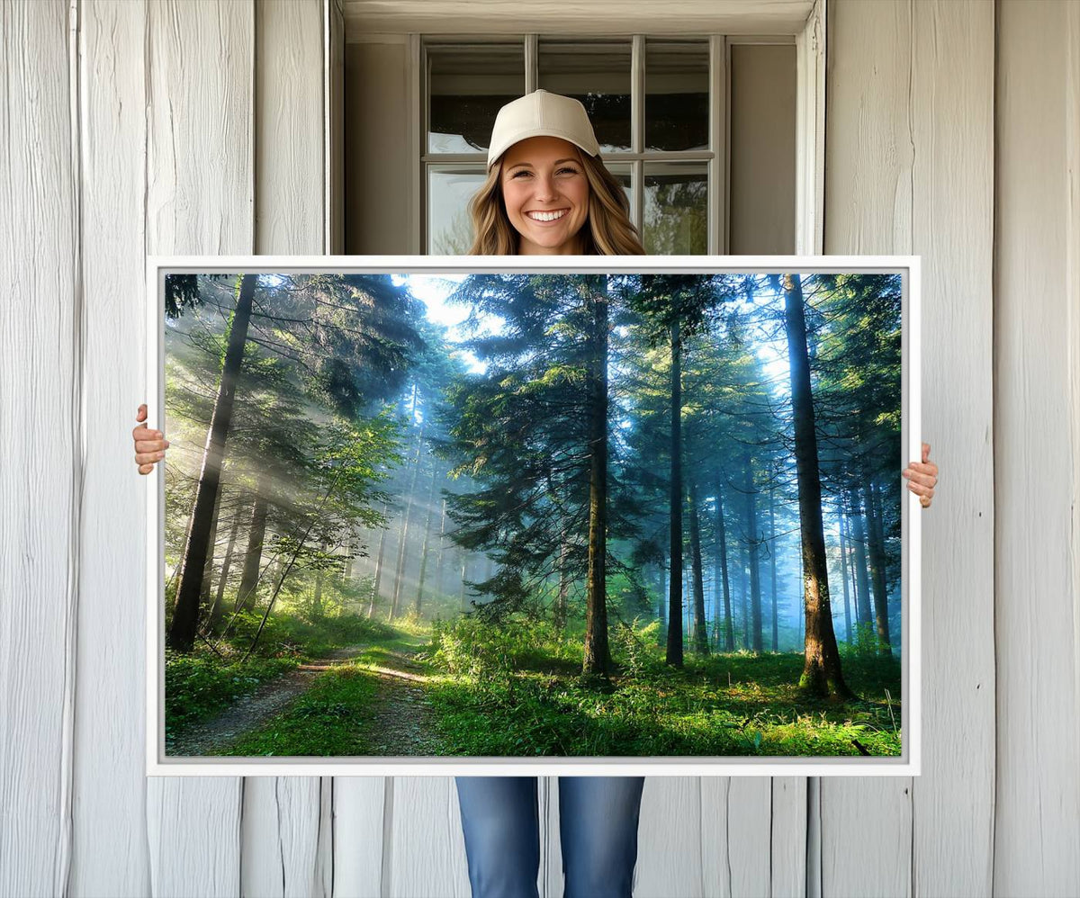 Forest Sun Shine Wall Art Canvas Print