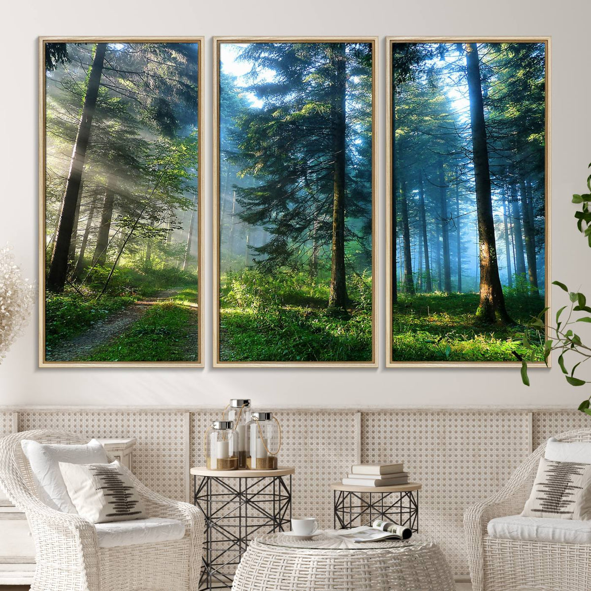 Forest Sun Shine Wall Art Canvas Print