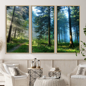 Forest Sun Shine Wall Art Canvas Print