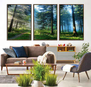 Forest Sun Shine Wall Art Canvas Print