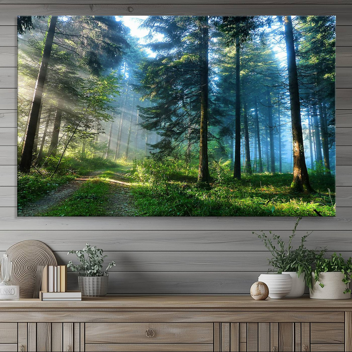 Forest Sun Shine Wall Art Canvas Print