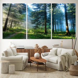 Forest Sun Shine Wall Art Canvas Print