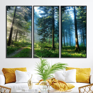 Forest Sun Shine Wall Art Canvas Print