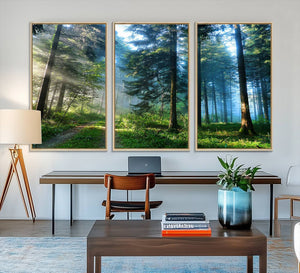 Forest Sun Shine Wall Art Canvas Print