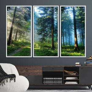 Forest Sun Shine Wall Art Canvas Print