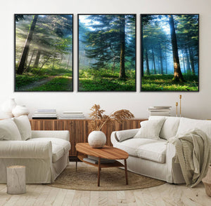 Forest Sun Shine Wall Art Canvas Print