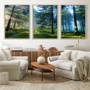 Forest Sun Shine Wall Art Canvas Print