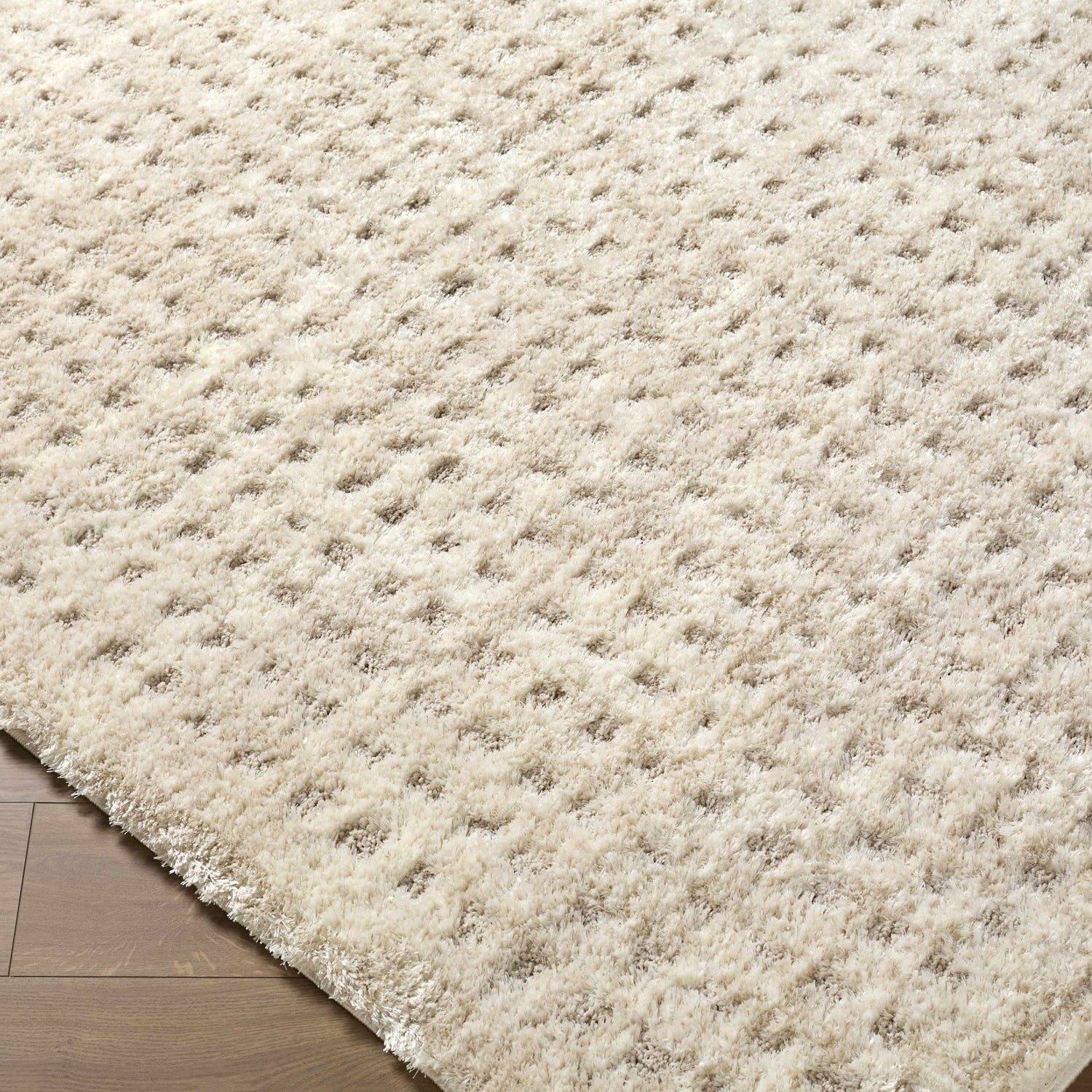 Armand Luxe Shag Rug