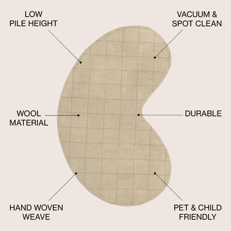 Bean Modern Plaid Grid Handwoven Wool Area Rug