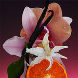 Athena Club Skin Replenishing Body Wash Super Pink 18 fl oz - New