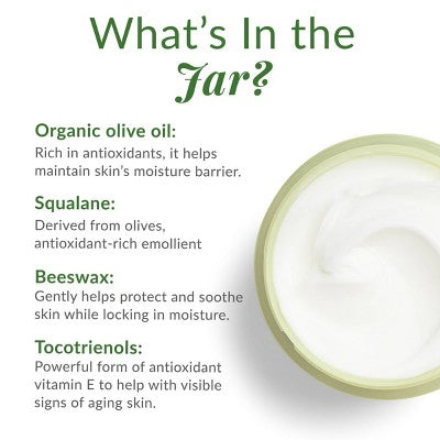 DHC Olive Virgin Oil Essential Moisturizing Cream 1.7 fl oz - Imperfect Box