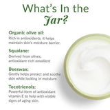 DHC Olive Virgin Oil Essential Moisturizing Cream 1.7 fl oz - Imperfect Box