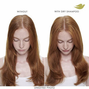 Dove Volume & Fullness Dry Shampoo 7.3oz - Imperfect Container