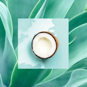 Raw Sugar Multi-Miracle Leave-In Heat Protectant & Conditioner
