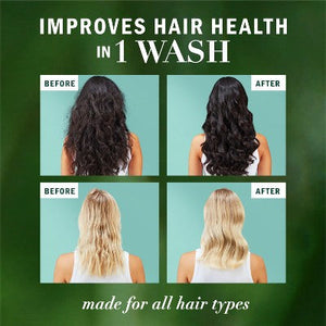 Herbal Essences Sulfate Free Eucalyptus Shampoo for Dry Scalp 13.5 fl oz