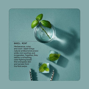 cleo+coco Body and Hair Antiperspirants and Deodorant Powder Basil Mint 0.88oz