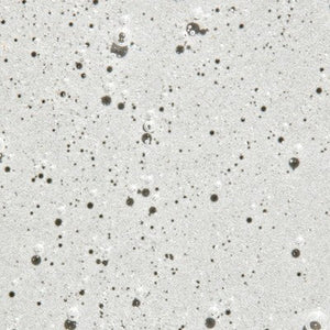 Paul Mitchell Extra-Body Shampoo 10.14 fl oz - New